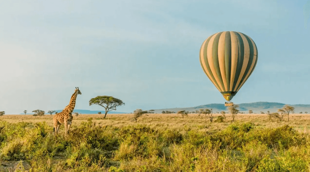 Save 10% on New 2025 Tailormade Journeys Booked by August 31 for Travel by Dec 14, 2025.